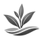 Logo transp